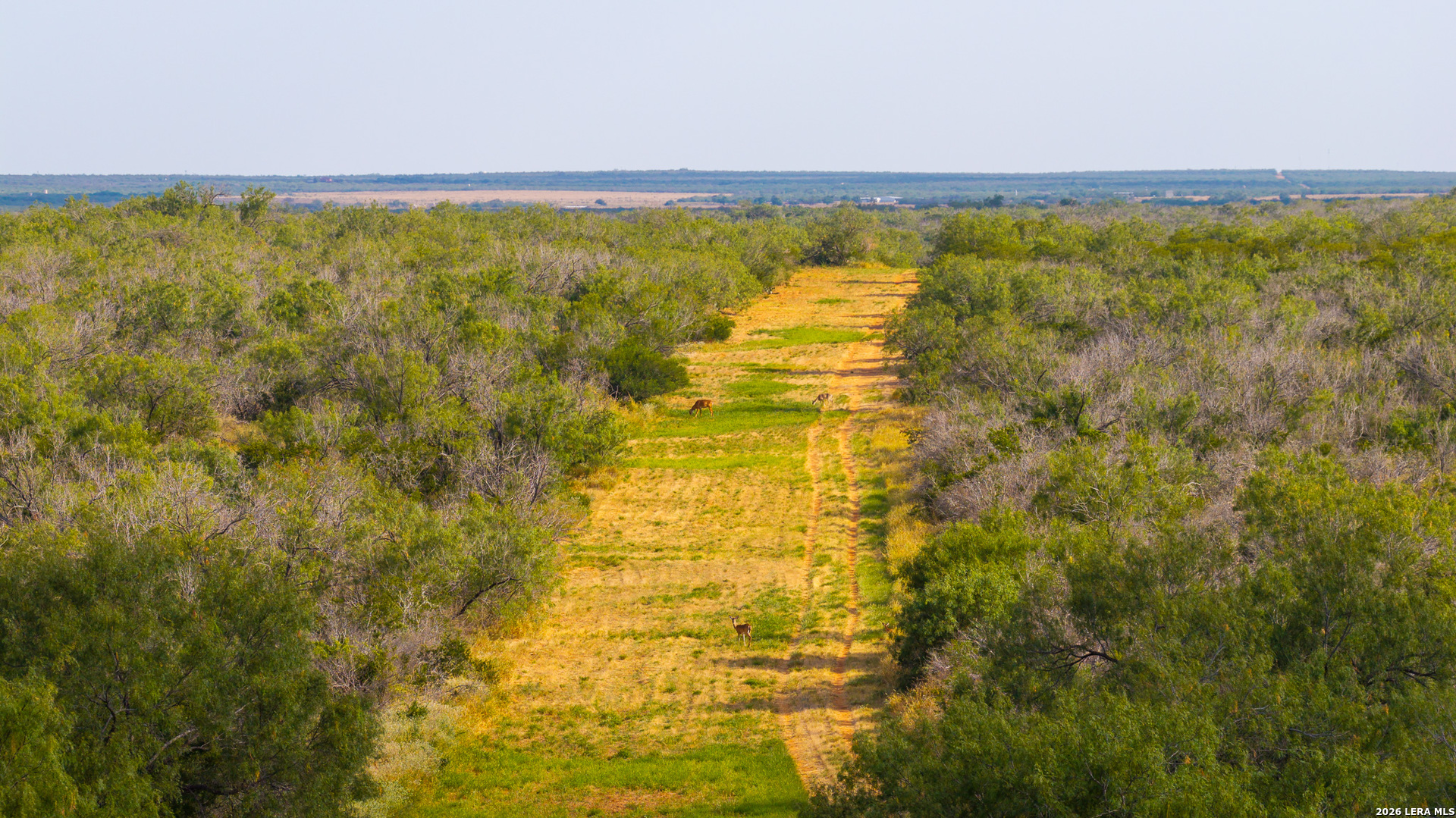 1909 Hubbard Road Cotulla TX 78014