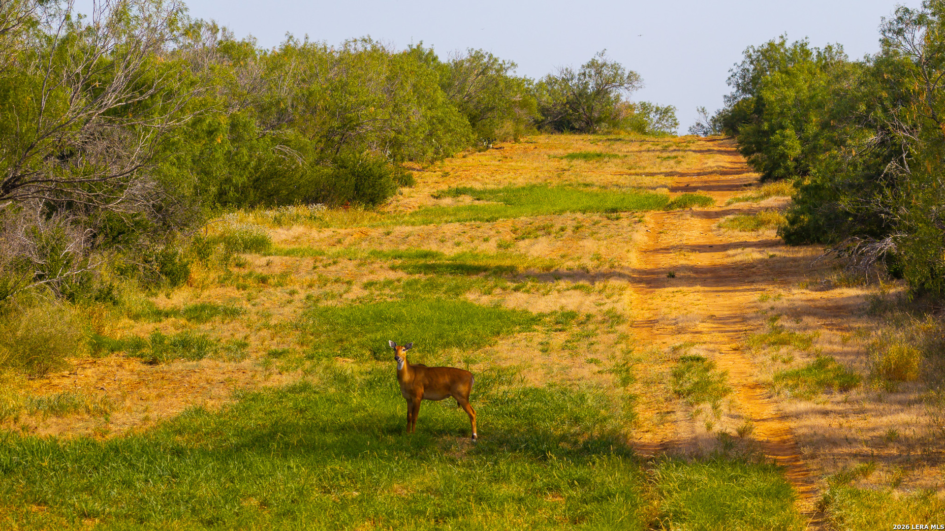1909 Hubbard Road Cotulla TX 78014