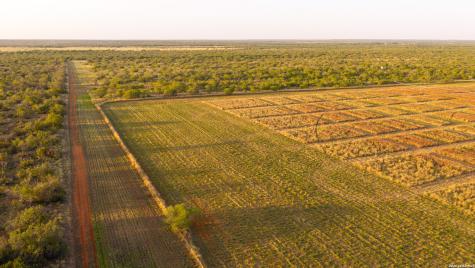 1909 Hubbard Road Cotulla TX 78014