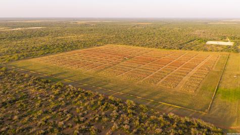 1909 Hubbard Road Cotulla TX 78014