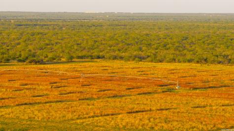 1909 Hubbard Road Cotulla TX 78014