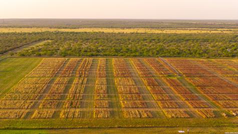 1909 Hubbard Road Cotulla TX 78014