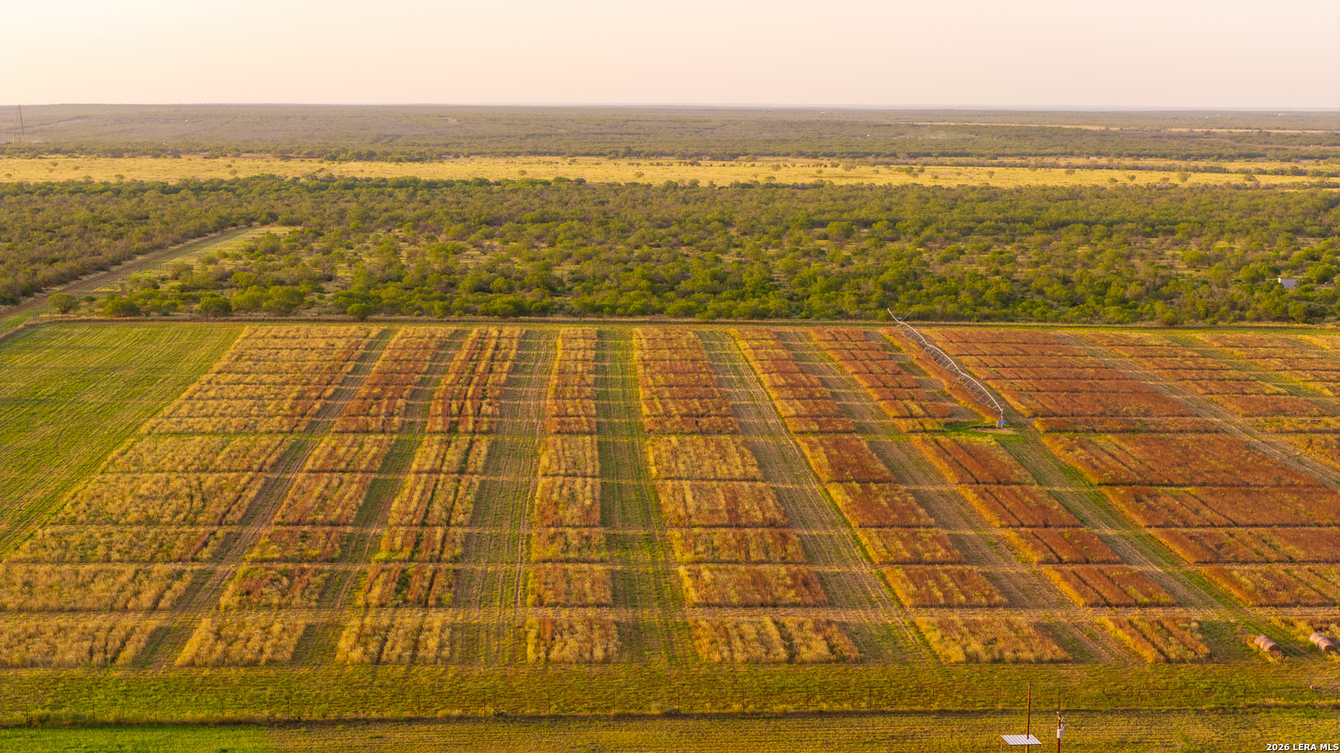 1909 Hubbard Road Cotulla TX 78014