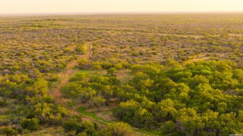 1909 Hubbard Road Cotulla TX 78014