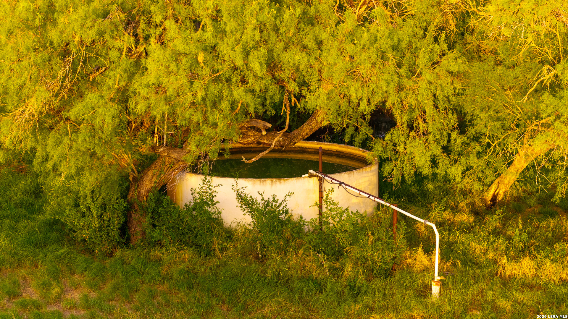 1909 Hubbard Road Cotulla TX 78014