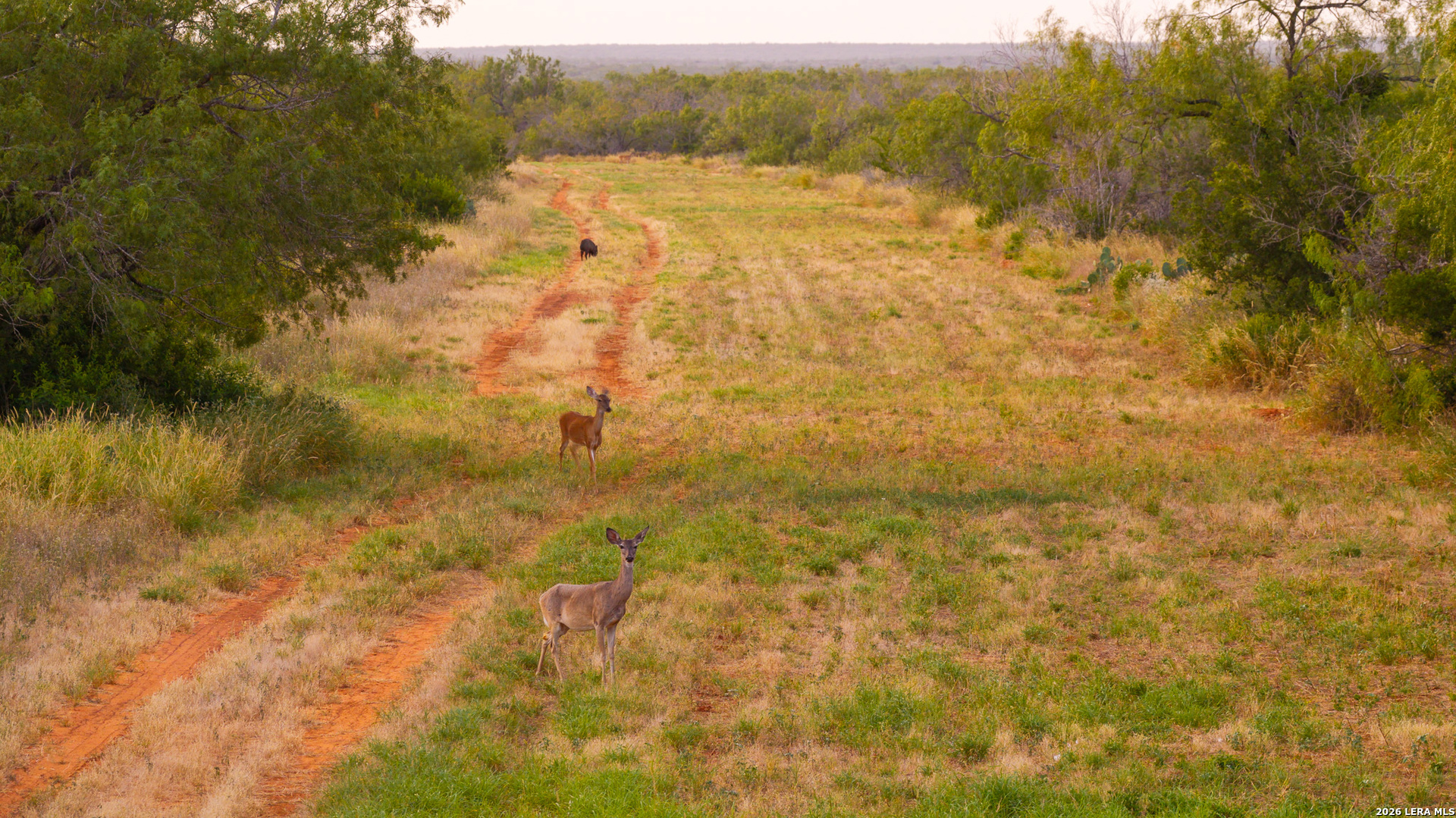 1909 Hubbard Road Cotulla TX 78014