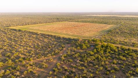1909 Hubbard Road Cotulla TX 78014