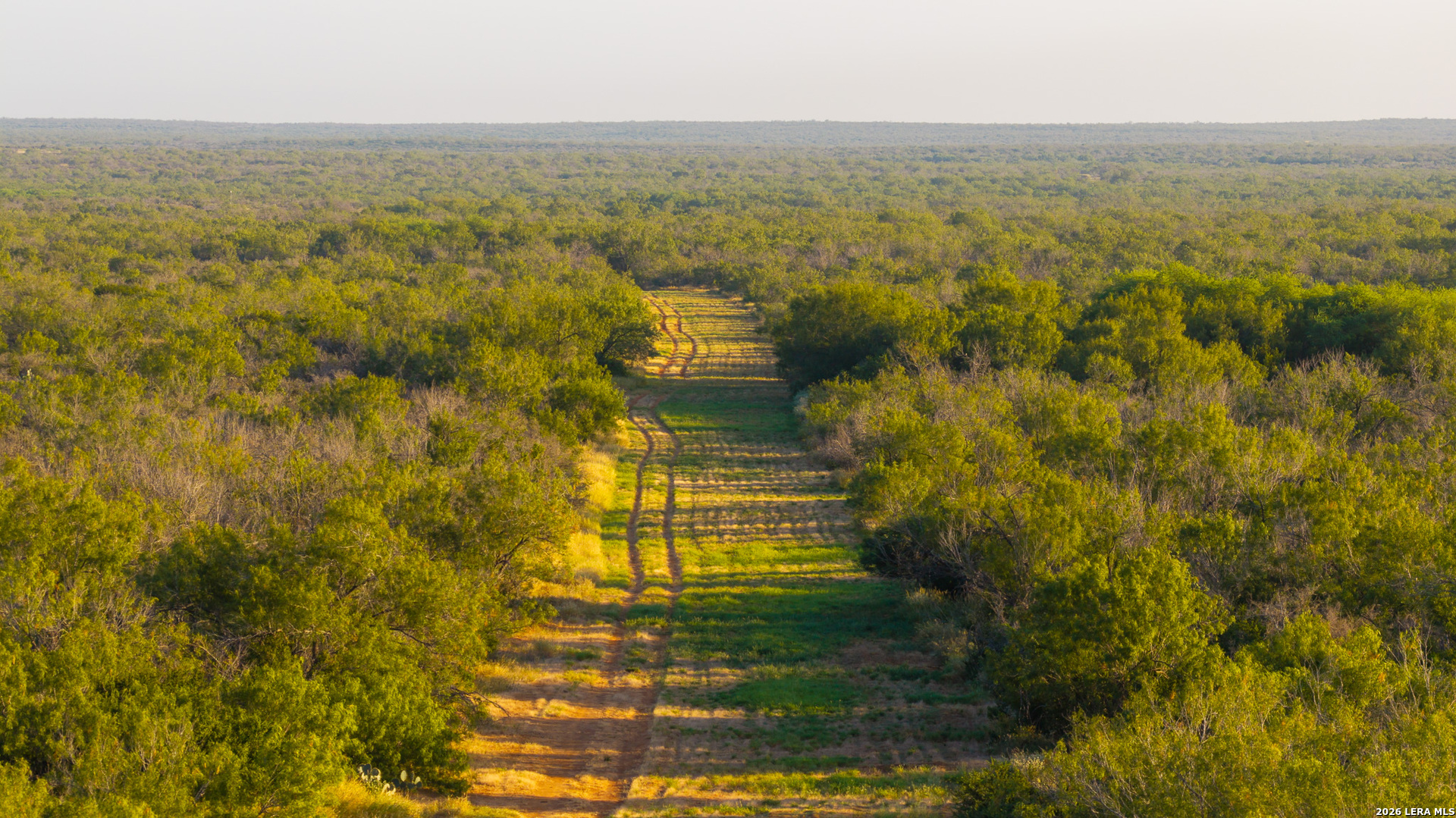 1909 Hubbard Road Cotulla TX 78014