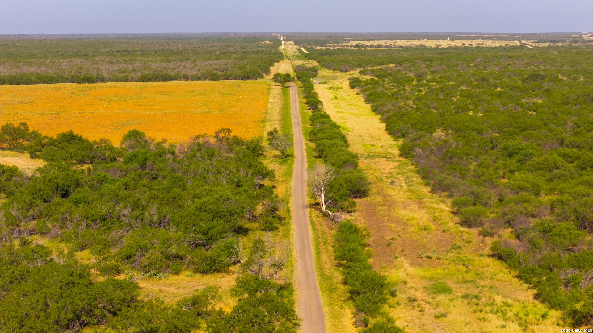 1909 Hubbard Road Cotulla TX 78014