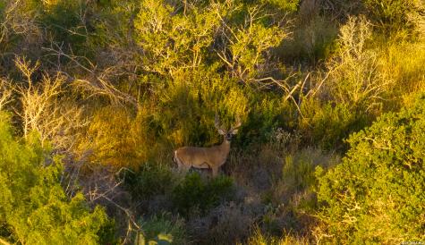 1909 Hubbard Road Cotulla TX 78014