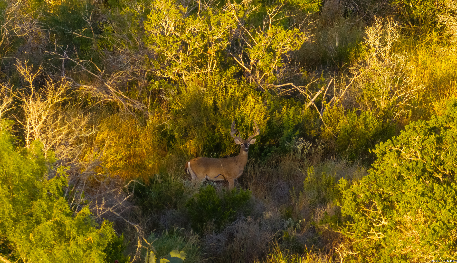 1909 Hubbard Road Cotulla TX 78014