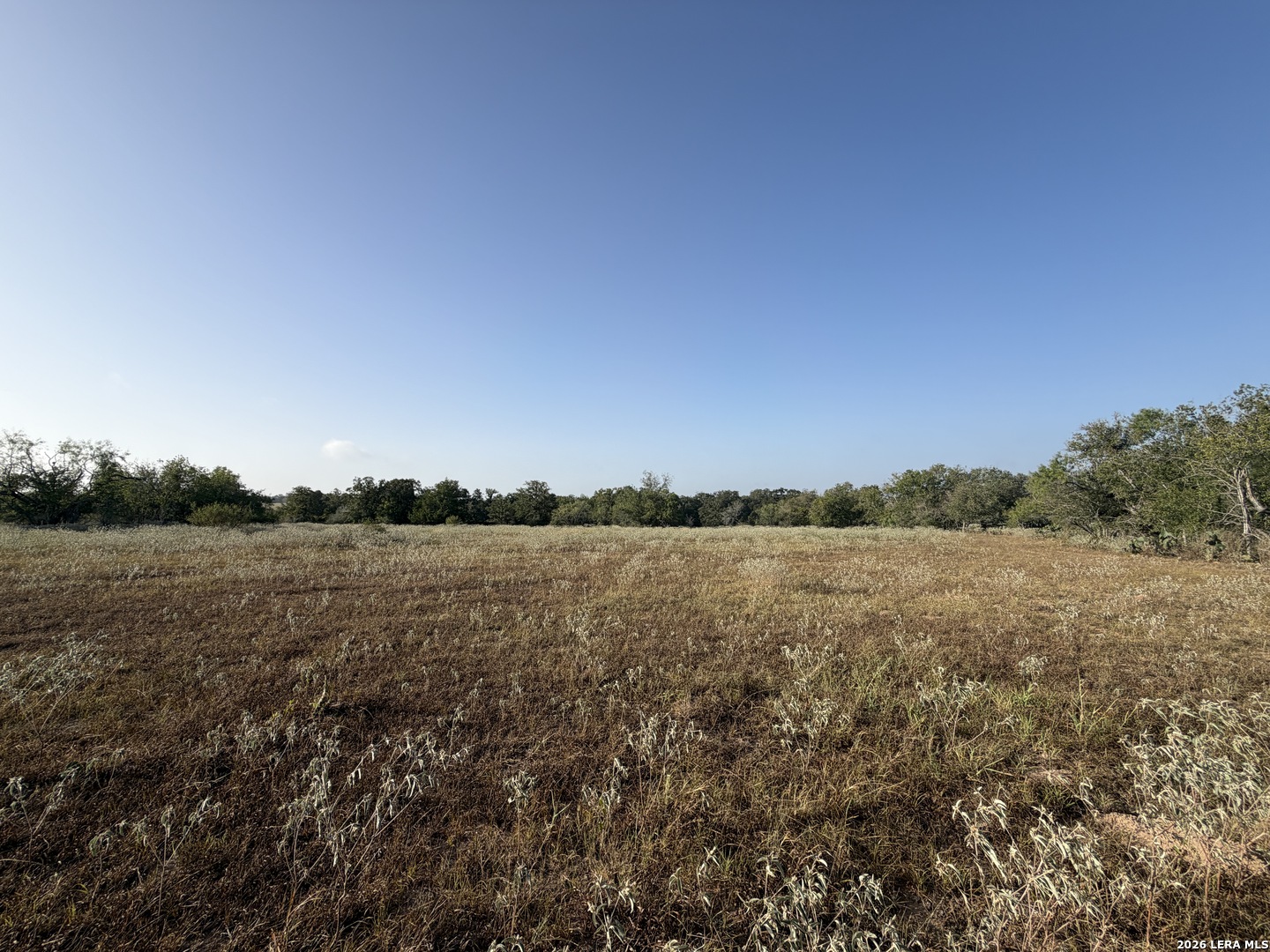 3841 County Road 427 Stockdale TX 78160