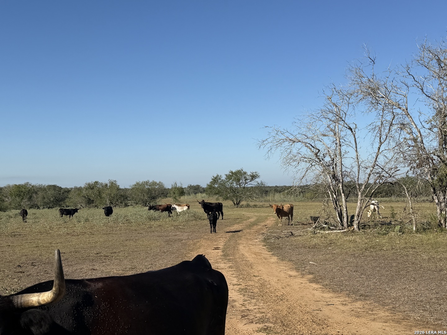 3841 County Road 427 Stockdale TX 78160