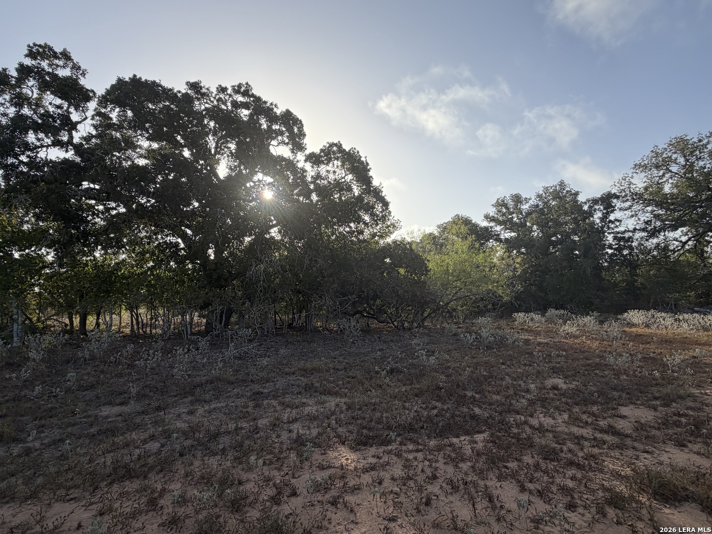 3841 County Road 427 Stockdale TX 78160