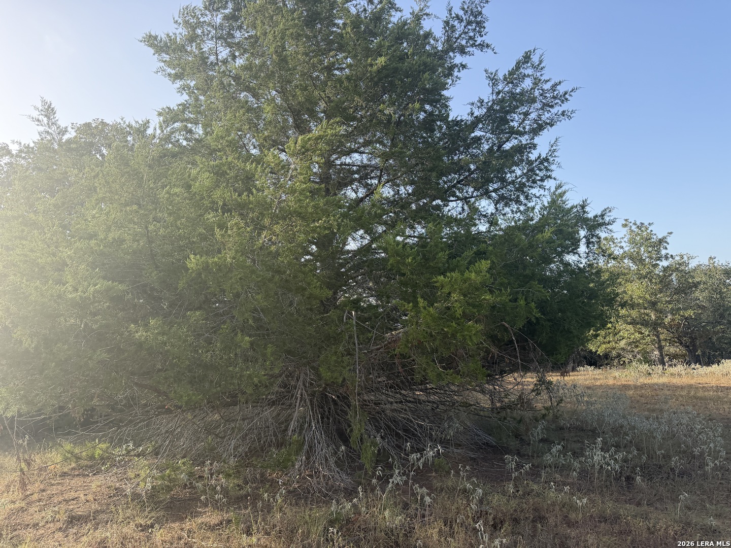3841 County Road 427 Stockdale TX 78160