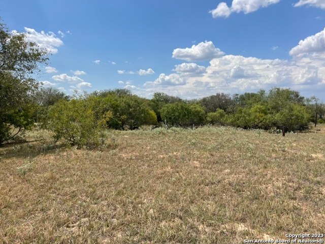 713 County Road 232 Floresville TX 78114