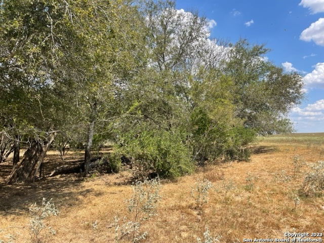 713 County Road 232 Floresville TX 78114