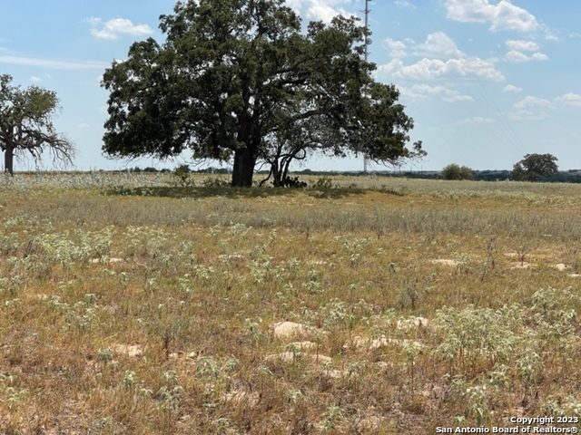 713 County Road 232 Floresville TX 78114
