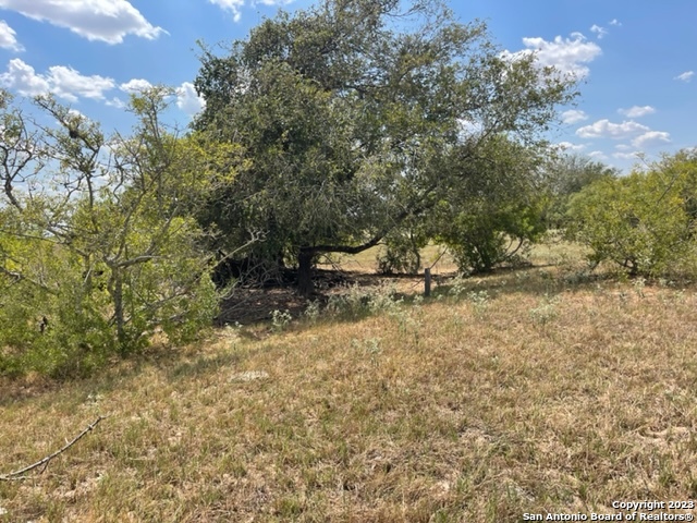713 County Road 232 Floresville TX 78114