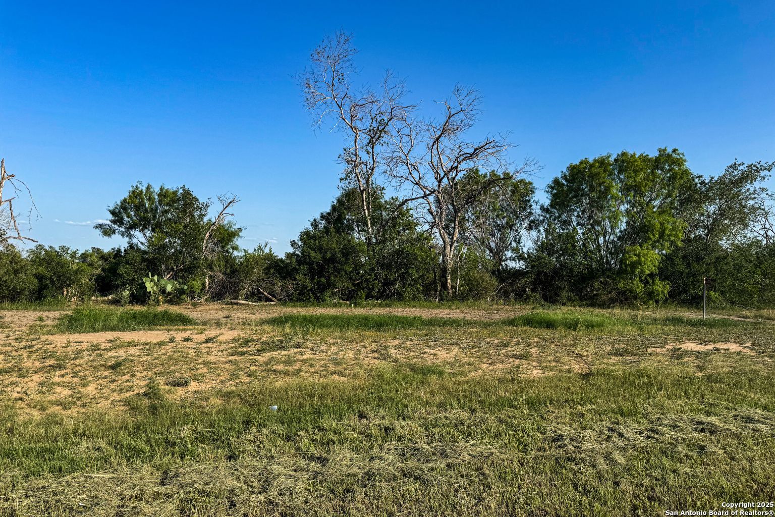 00 Cr 7714, Lot 3 Devine TX 78106