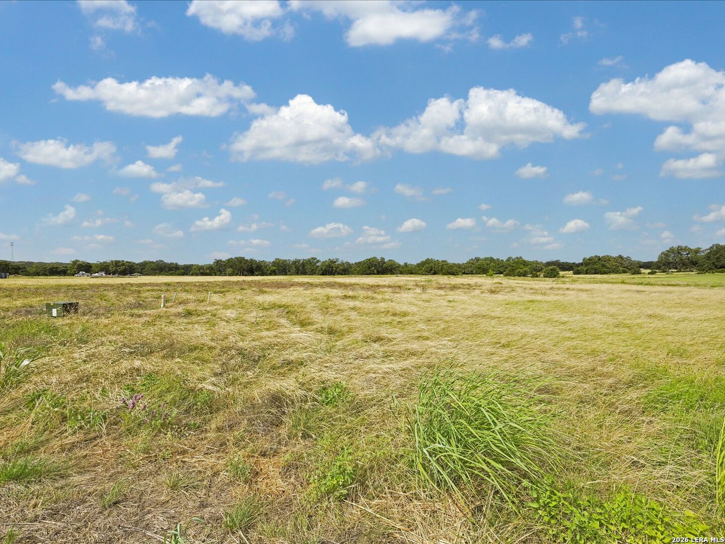 733 Annabelle Avenue Bulverde TX 78163
