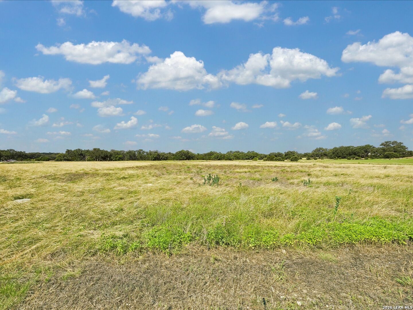 733 Annabelle Avenue Bulverde TX 78163