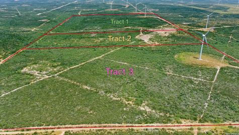 0 San Pablo Road Tract 3 (117.0410) Bruni TX 78344