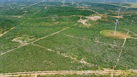 0 San Pablo Road Tract 3 (117.0410) Bruni TX 78344