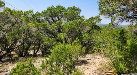 0 San Juan Canyon Lake TX 78133
