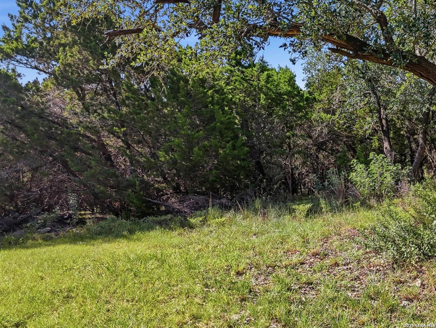 142 Bluejay Court Canyon Lake TX 78133