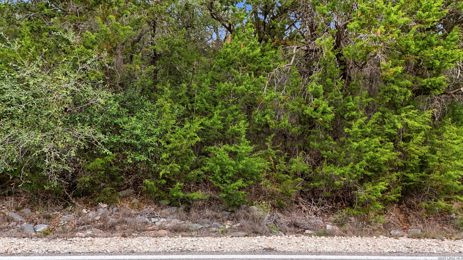 5125 Wegner Road New Braunfels TX 78132