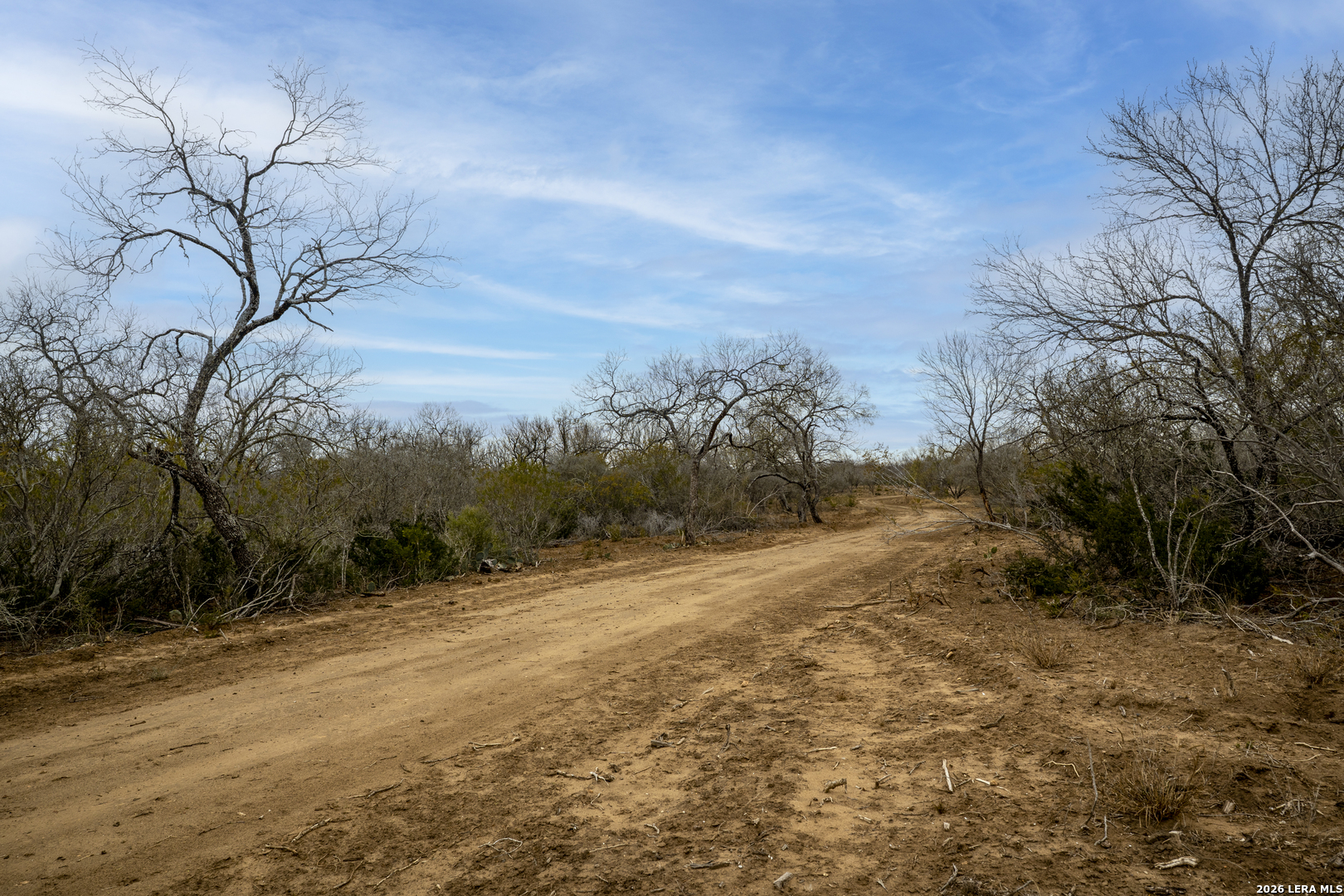 2410 San Miguel Tract #2 Moore TX 78057