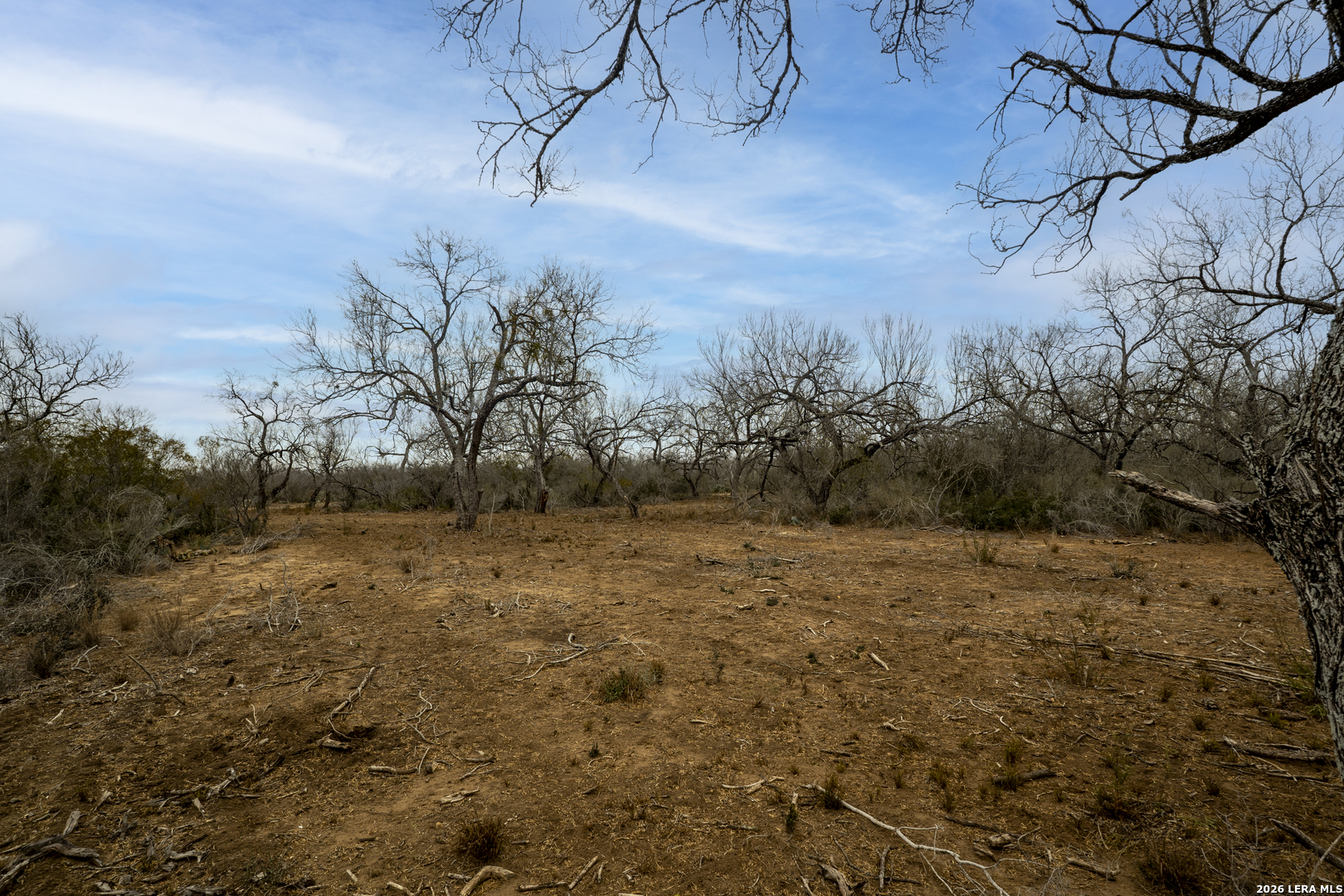 2410 San Miguel Tract #2 Moore TX 78057