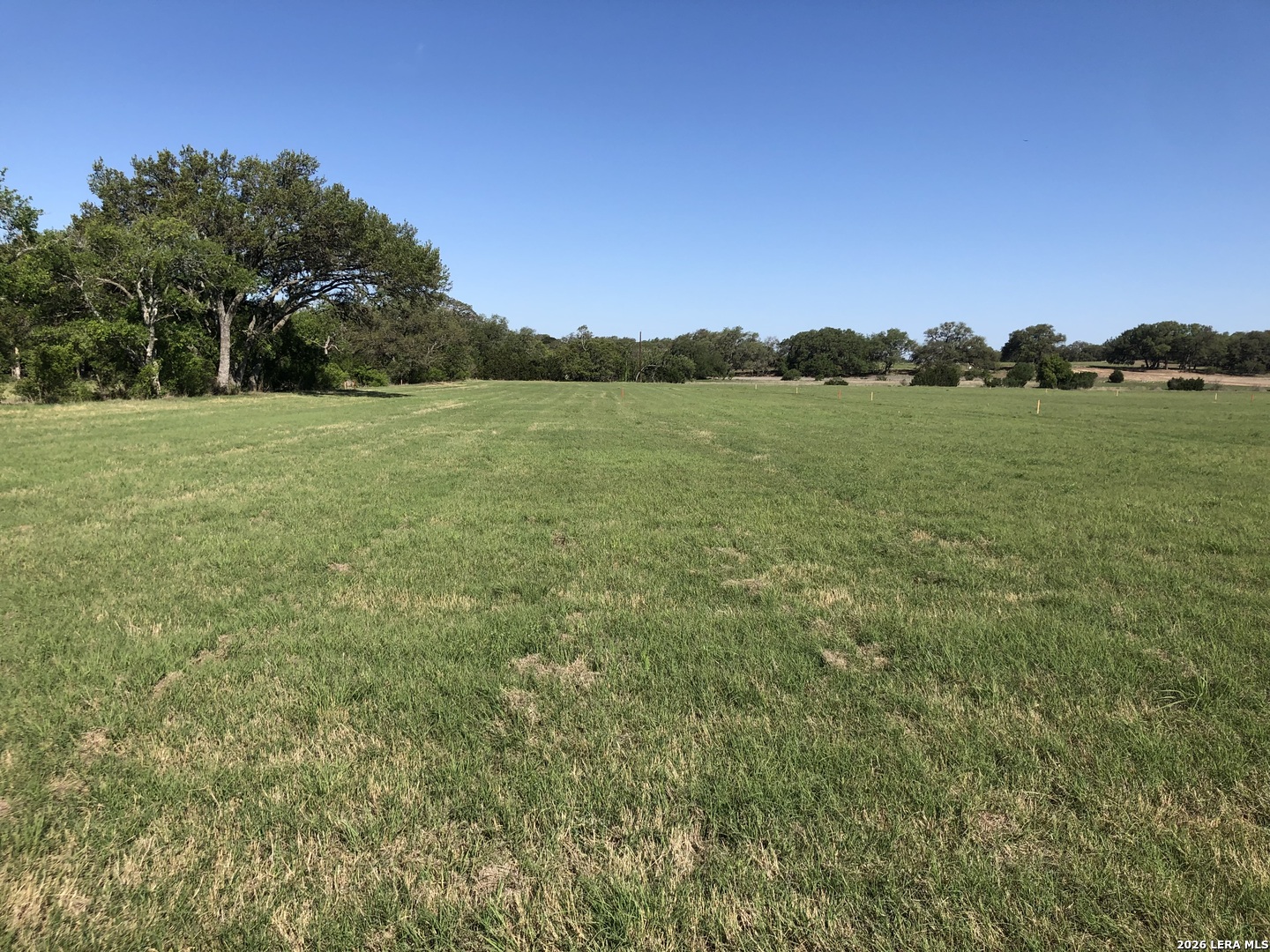 34587 Tiffany Belle Road Bulverde TX 78163