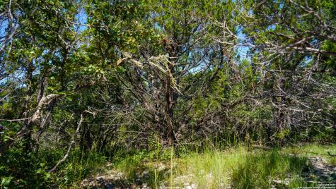 Lot 12 Mystic Ridge Estates Kerrville TX 78028
