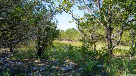 Lot 12 Mystic Ridge Estates Kerrville TX 78028