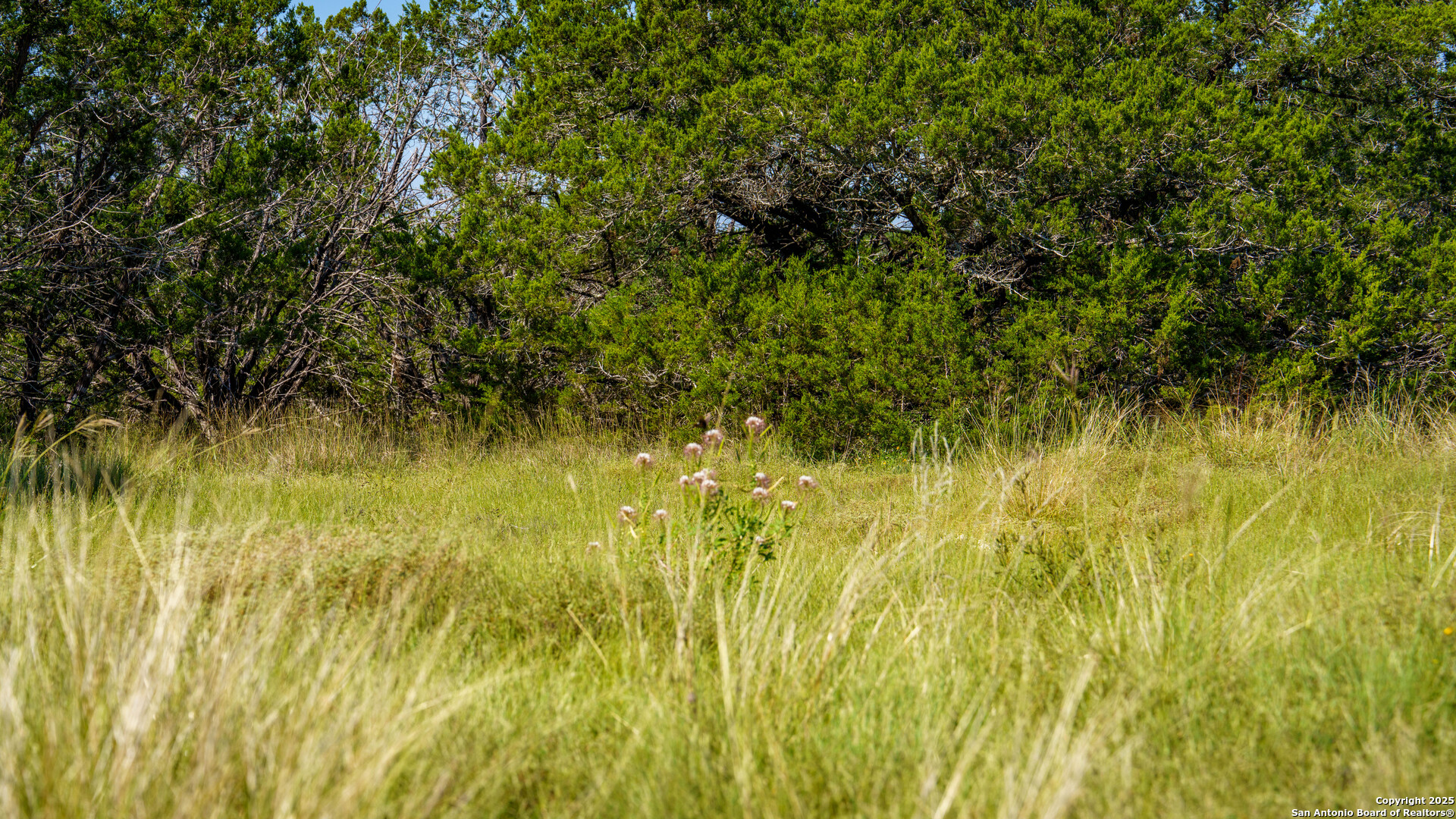 Lot 12 Mystic Ridge Estates Kerrville TX 78028