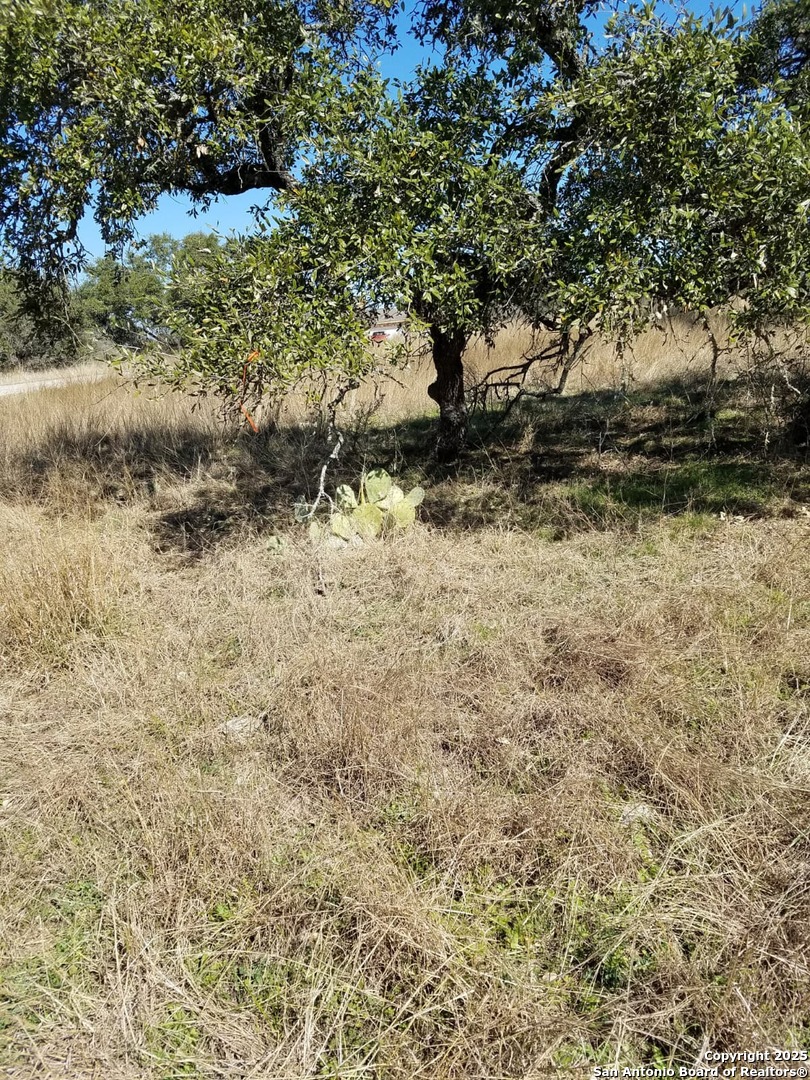Lot 102 Pr 3702 Pr 3702 San Antonio TX 78253