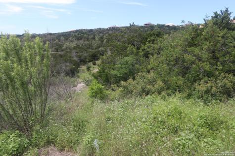 14125 Iron Horse Way Helotes TX 78023