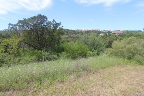 14125 Iron Horse Way Helotes TX 78023