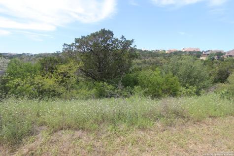 14125 Iron Horse Way Helotes TX 78023