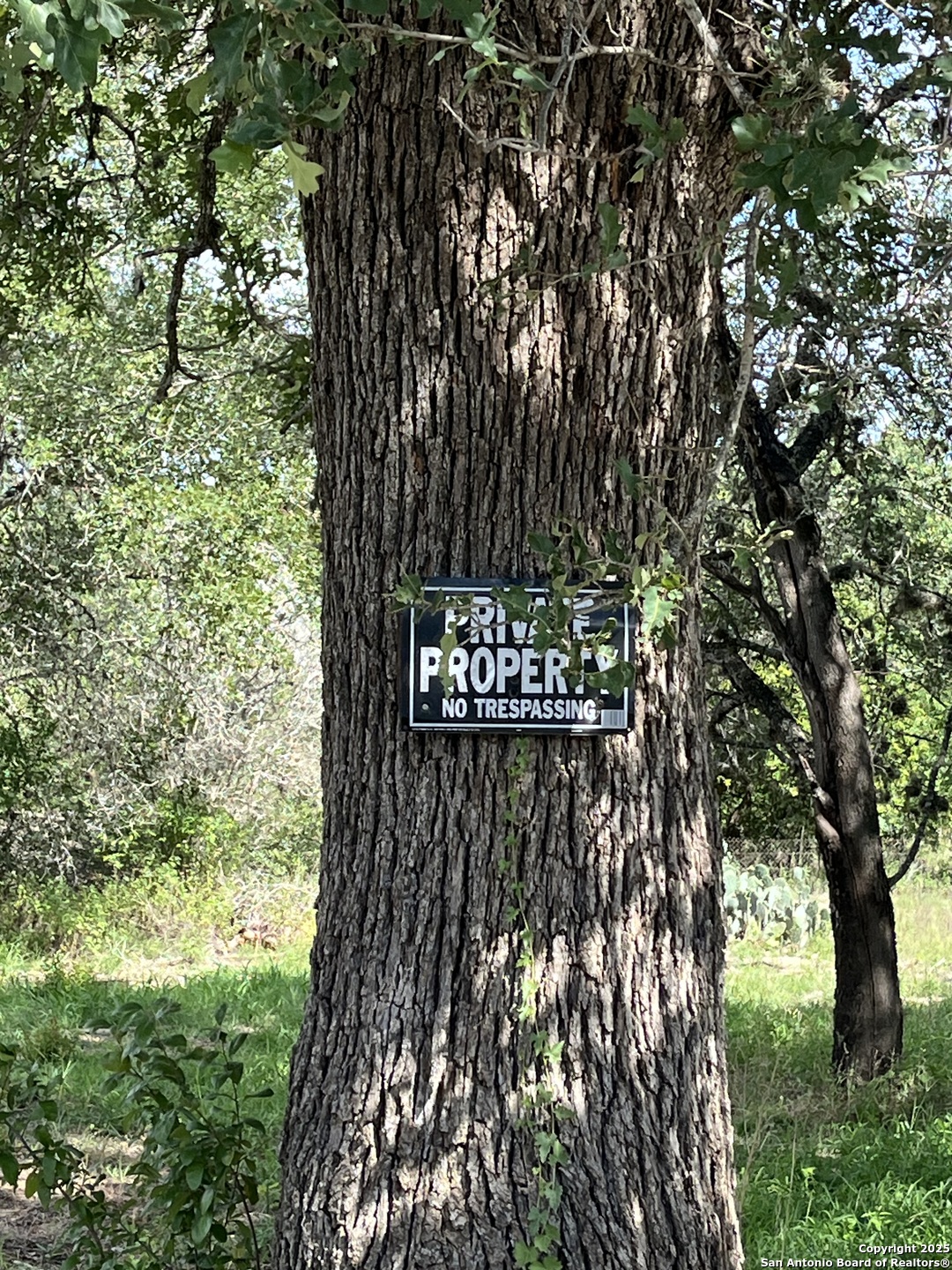 Lot D 497 Cr 124 Floresville TX 78114