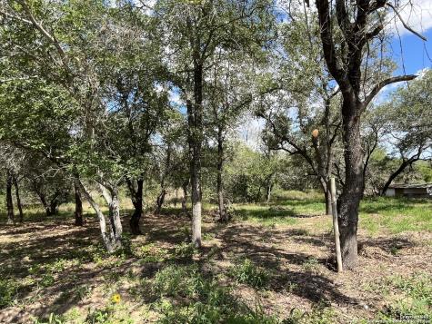 Lot D 497 Cr 124 Floresville TX 78114