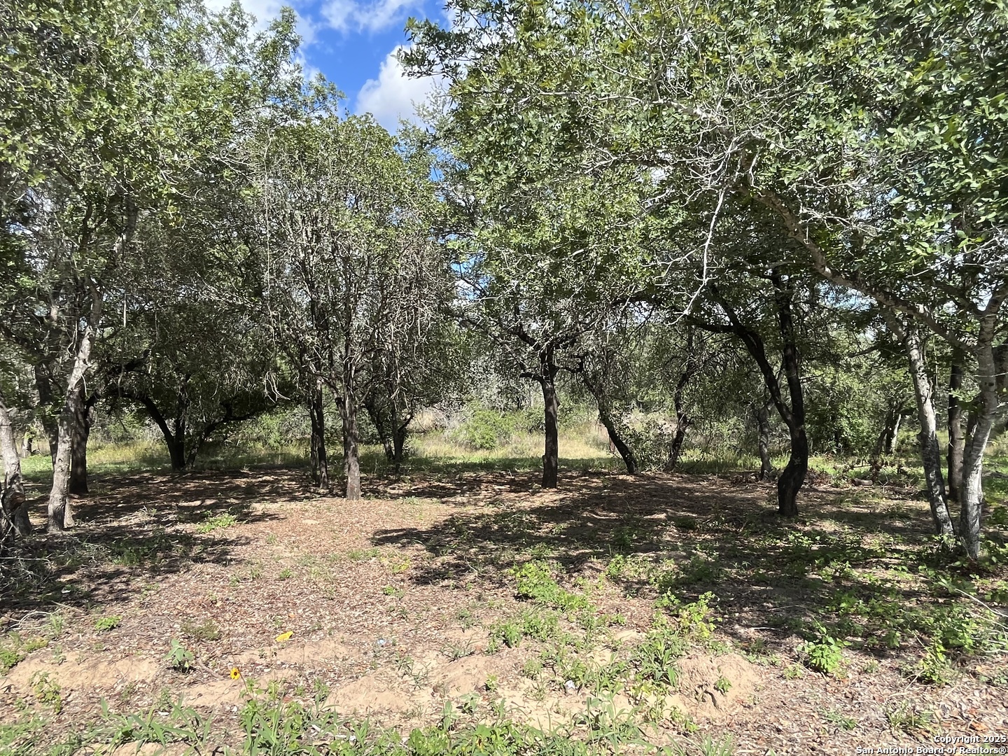 Lot D 497 Cr 124 Floresville TX 78114