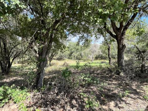 Lot D 497 Cr 124 Floresville TX 78114