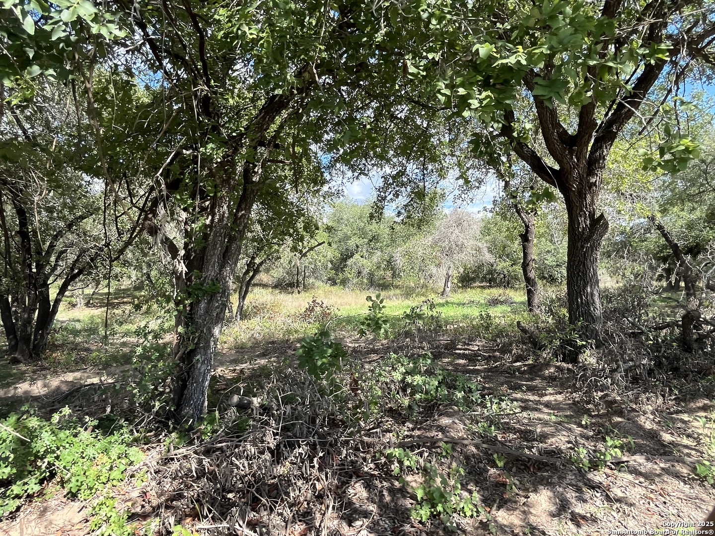 Lot D 497 Cr 124 Floresville TX 78114