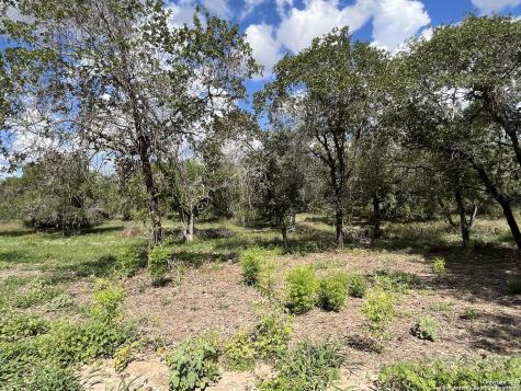 Lot D 497 Cr 124 Floresville TX 78114