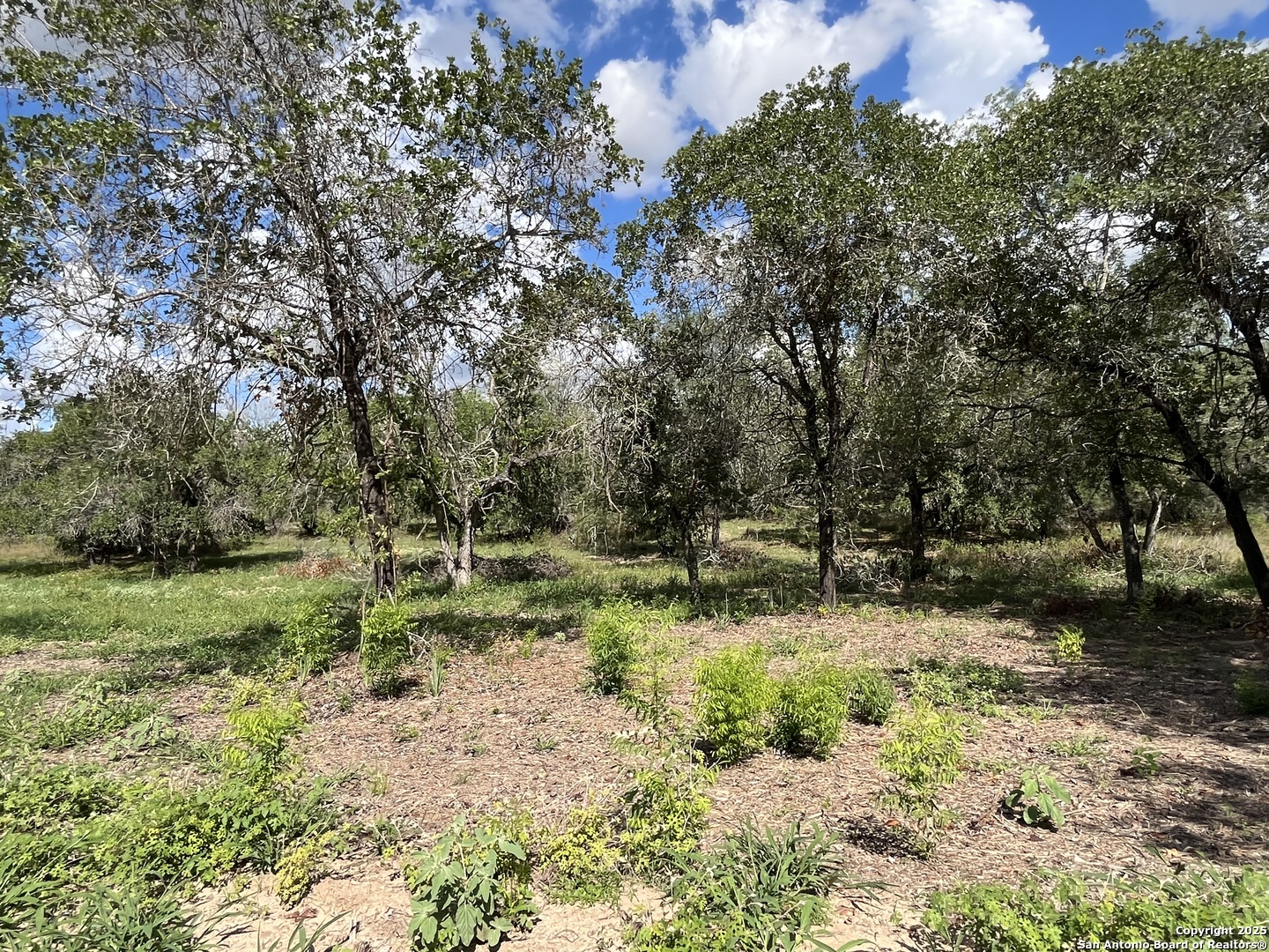 Lot D 497 Cr 124 Floresville TX 78114