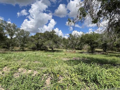 Lot D 497 Cr 124 Floresville TX 78114