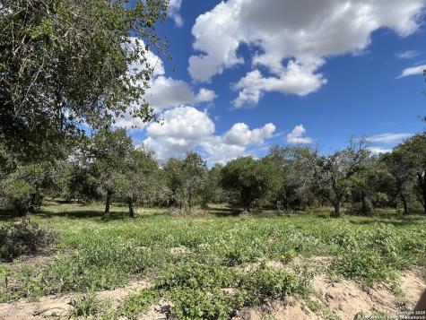 Lot D 497 Cr 124 Floresville TX 78114